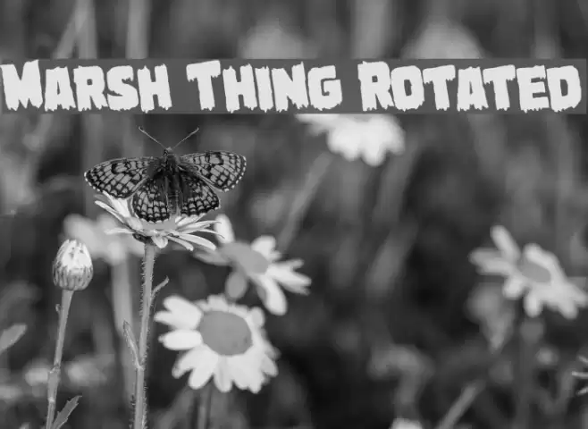Marsh Thing Rotated examples