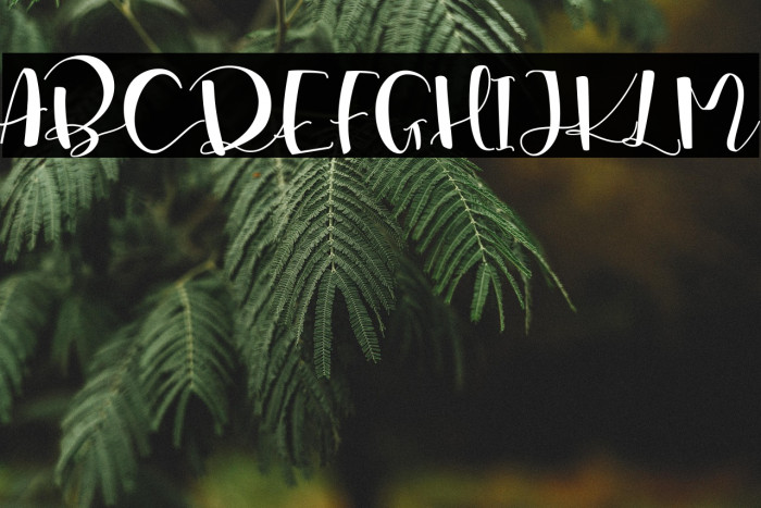 Marsha Belle Demo Regular Example 1