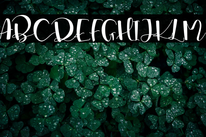 Marsha Belle Demo Regular Example 2