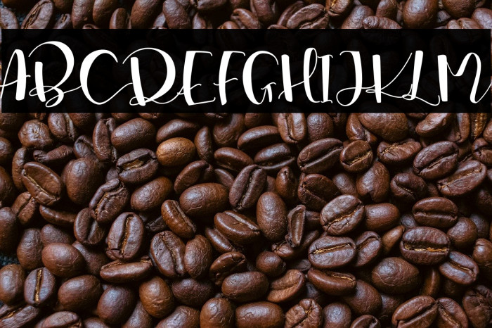 Marsha Belle Demo Regular Example 1