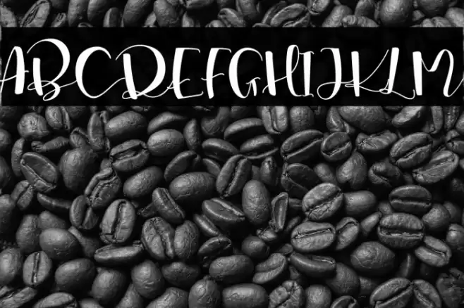 Marsha Belle Demo Regular Font examples