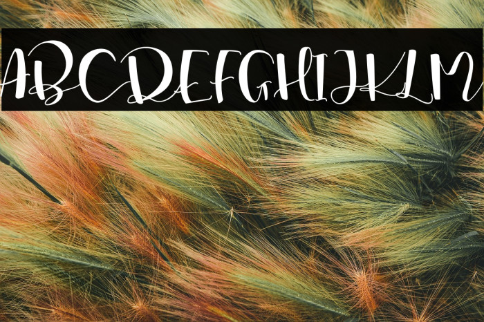 Marsha Belle Demo Regular Example 3