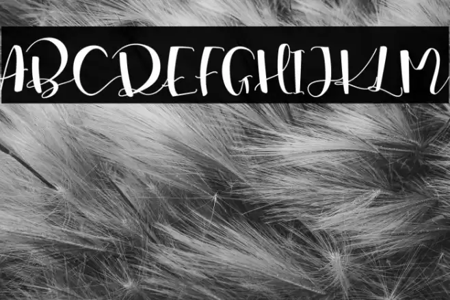 Marsha Belle Demo Regular Font examples