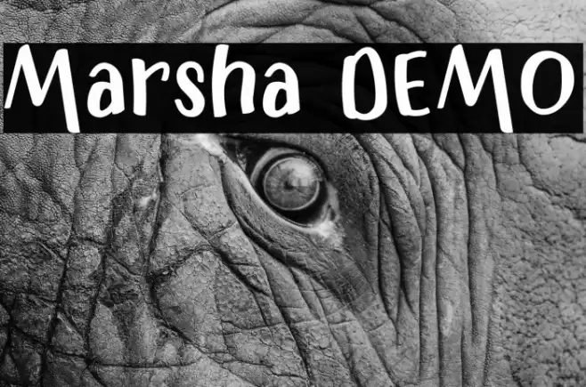 Marsha DEMO Font examples