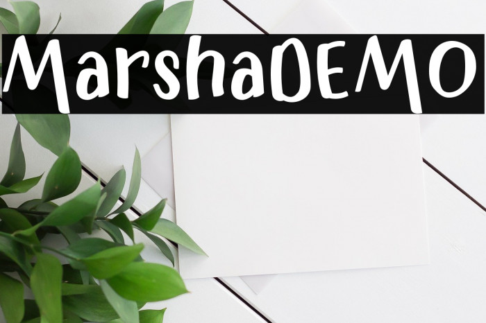 MarshaDEMO Example 1