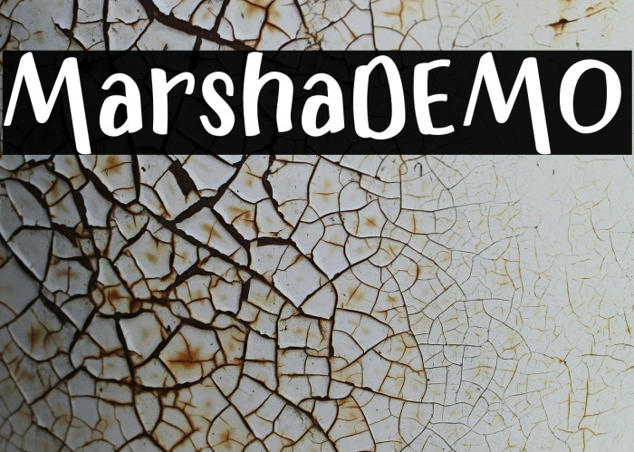 MarshaDEMO Example 2