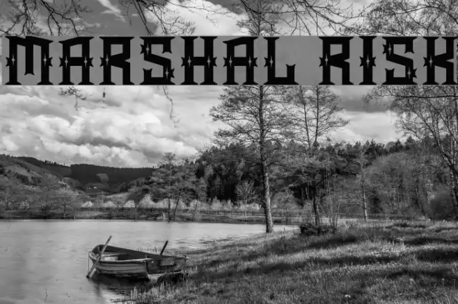 Marshal Risk Example 2