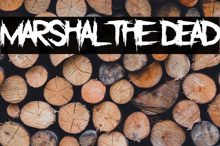Marshal The Dead Example 1