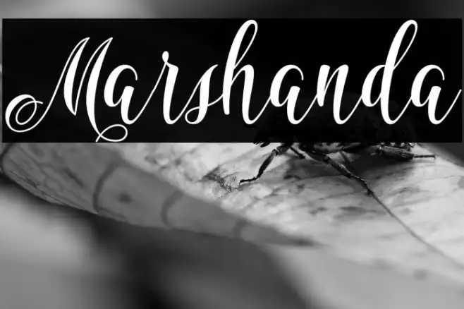 Marshanda Example 3