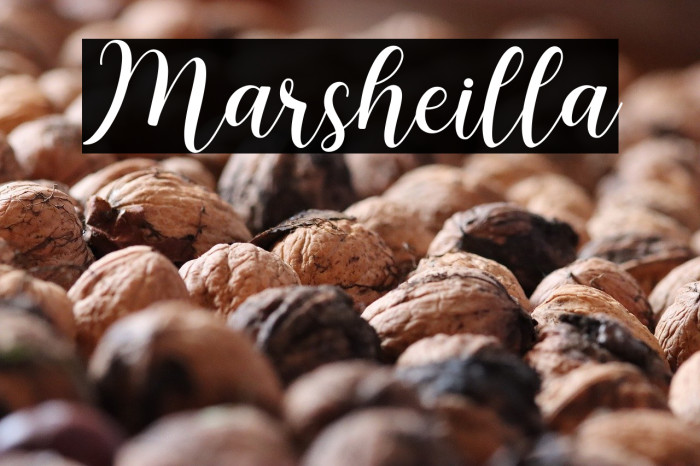 Marsheilla Example 2