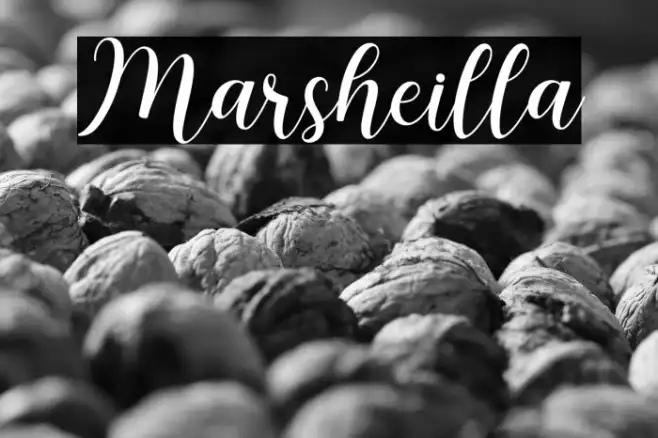 Marsheilla Example 2