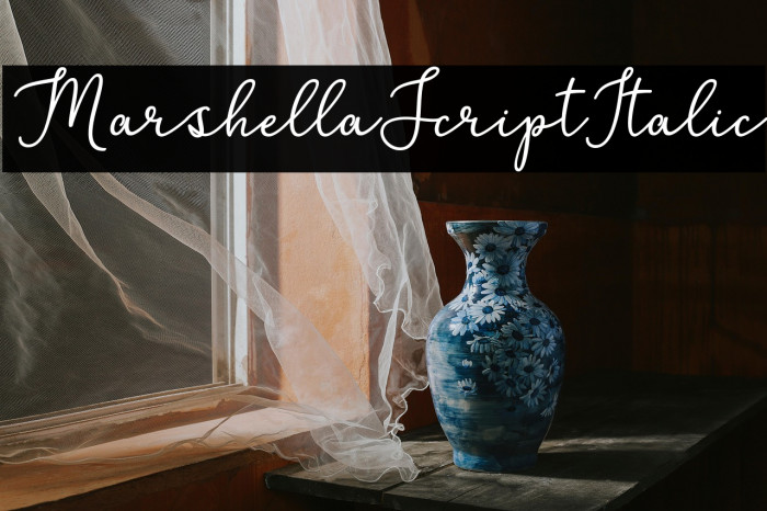 MarshellaScriptItalic Example 1