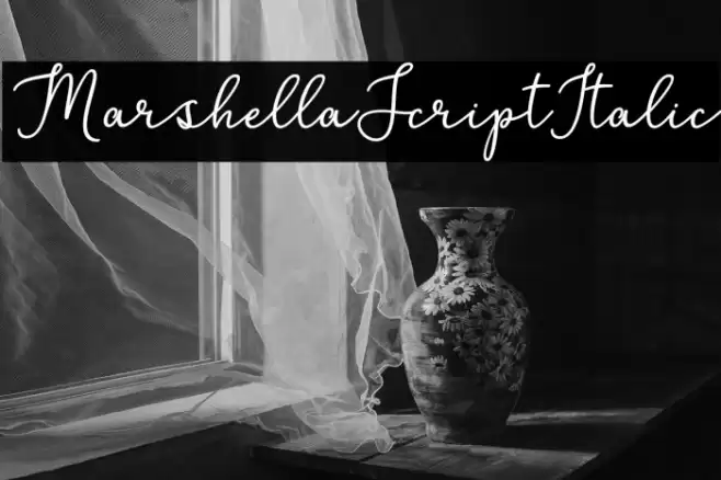 MarshellaScriptItalic خط examples