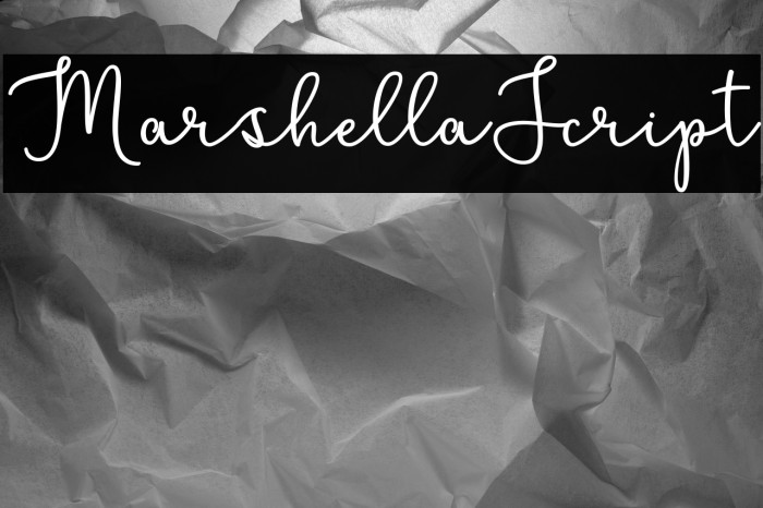 MarshellaScript Example 1