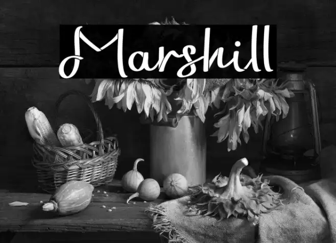 Marshill Example 2