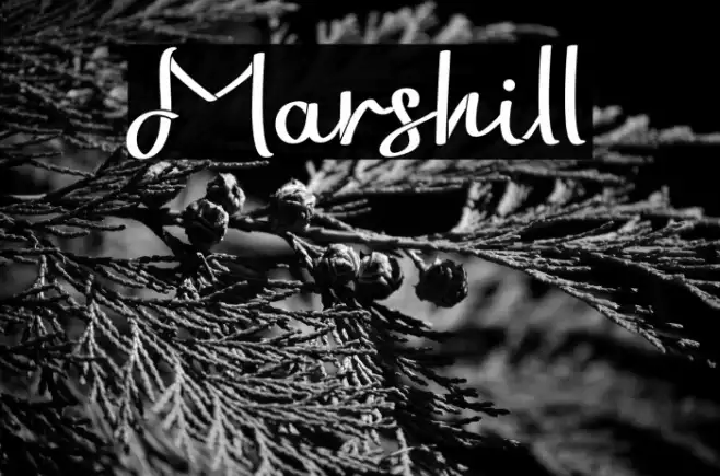 Marshill Example 3