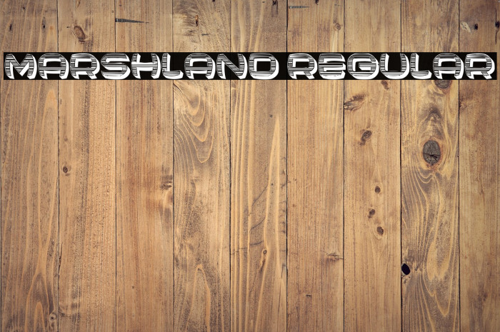 Marshland Regular Example 2