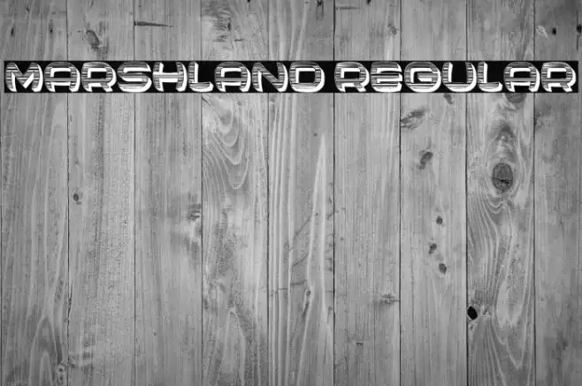 Marshland Regular Example 2