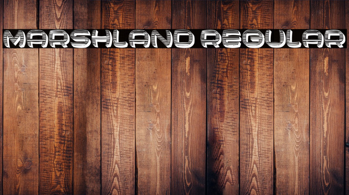 Marshland Regular Example 3