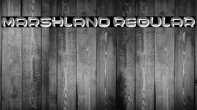 Marshland Regular Example 3