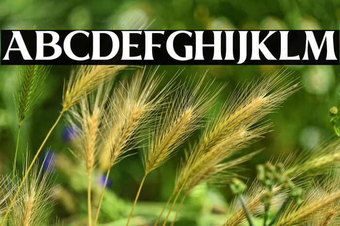 Marshland_Beauty Example 3