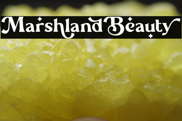 Marshland_Beauty Example 1
