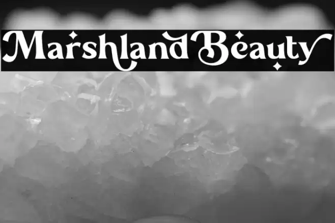 Marshland_Beauty Font examples