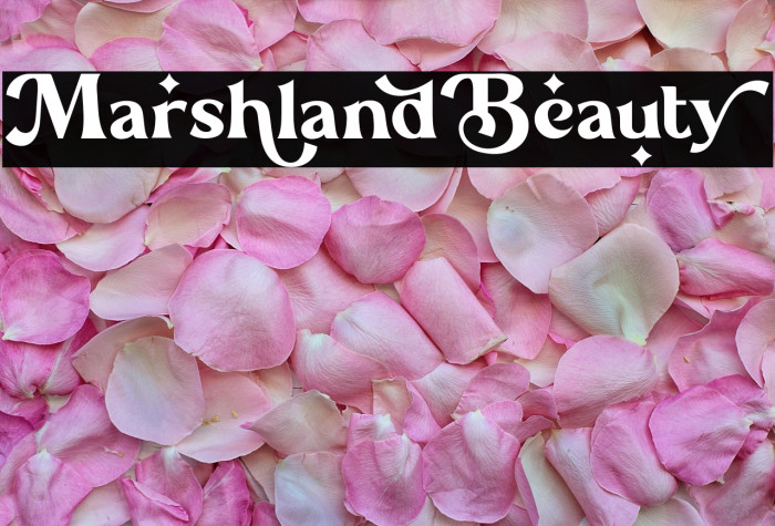 Marshland_Beauty Example 2