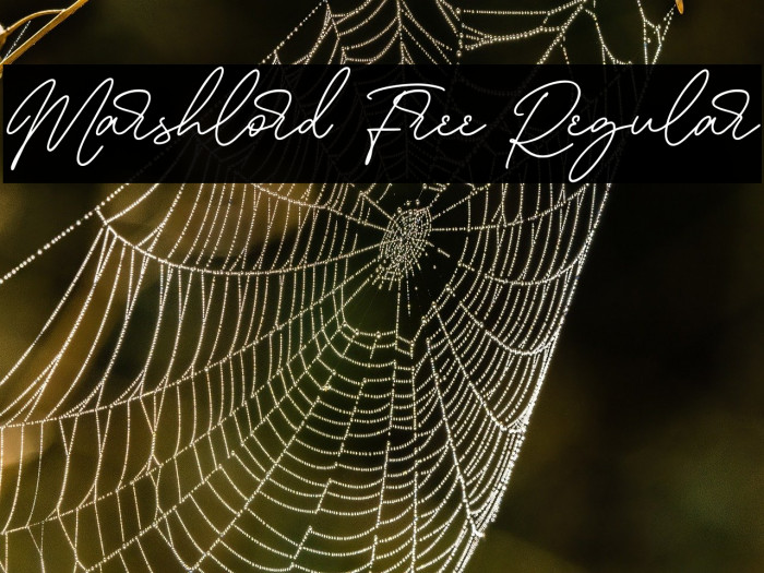 Marshlord Free Regular Example 1