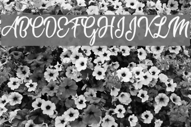 Marshmallow Personal Use Regular Font examples