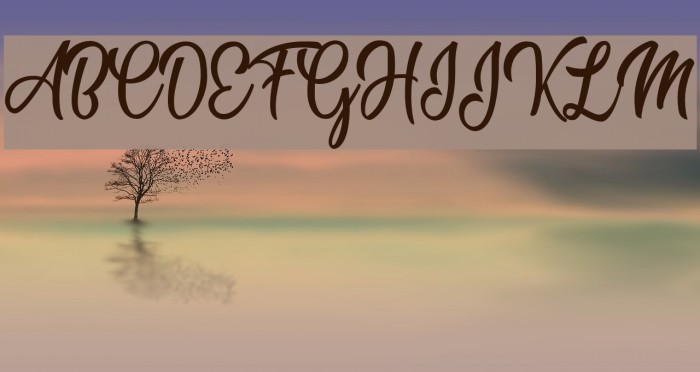 Marshmallow Personal Use Regular Example 2