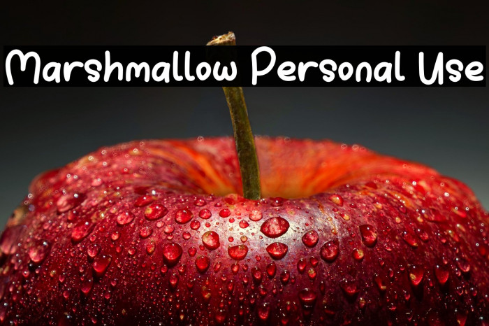 Marshmallow Personal Use Example 1