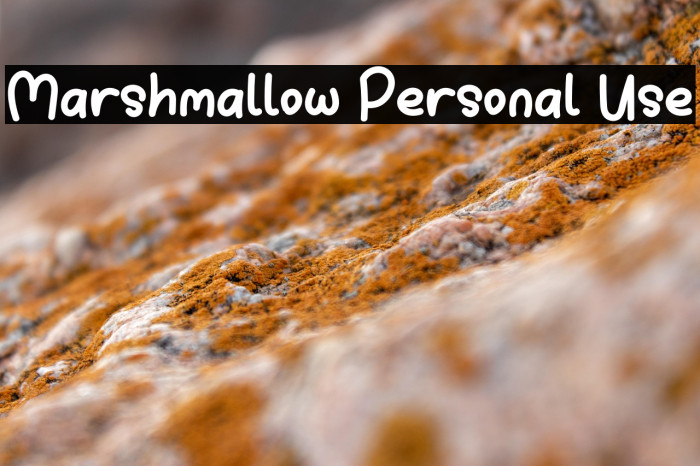 Marshmallow Personal Use Example 2