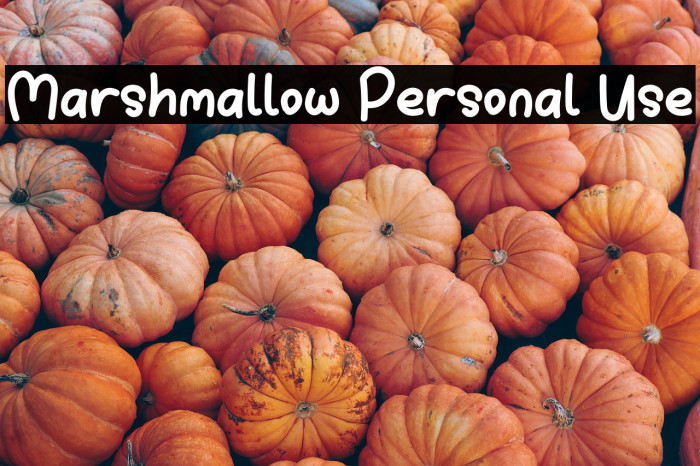 Marshmallow Personal Use Example 3