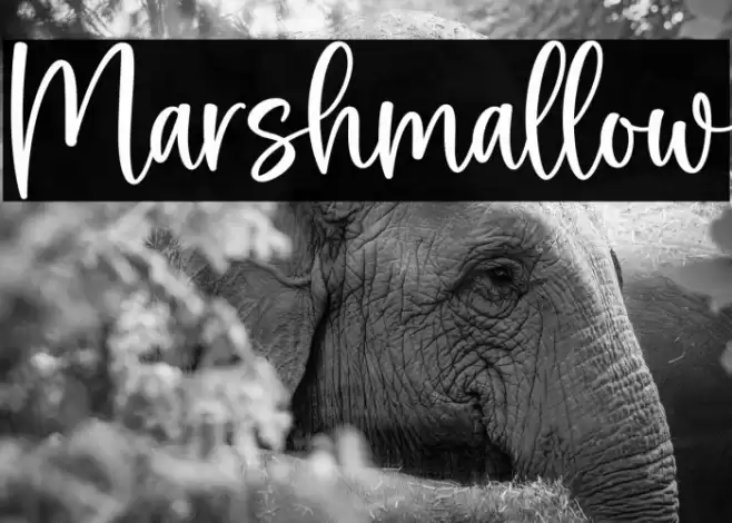 Marshmallow Font examples