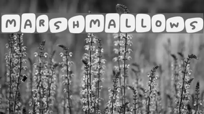 Marshmallows Font examples