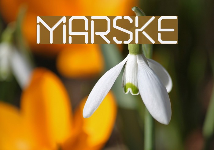 Marske Font examples