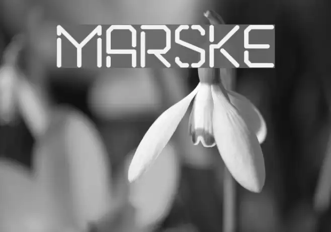 Marske Example 1