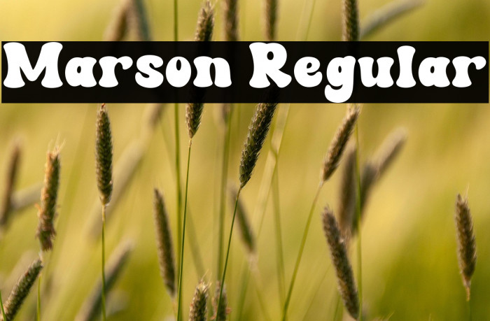 Marson Regular Example 2