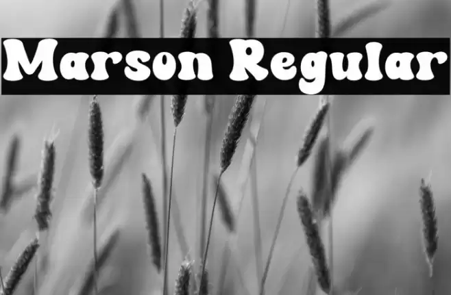Marson Regular フォント examples