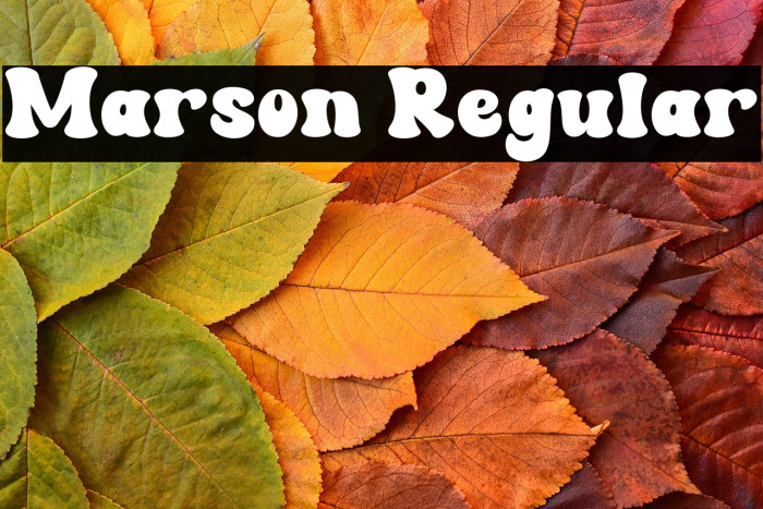 Marson Regular Example 3