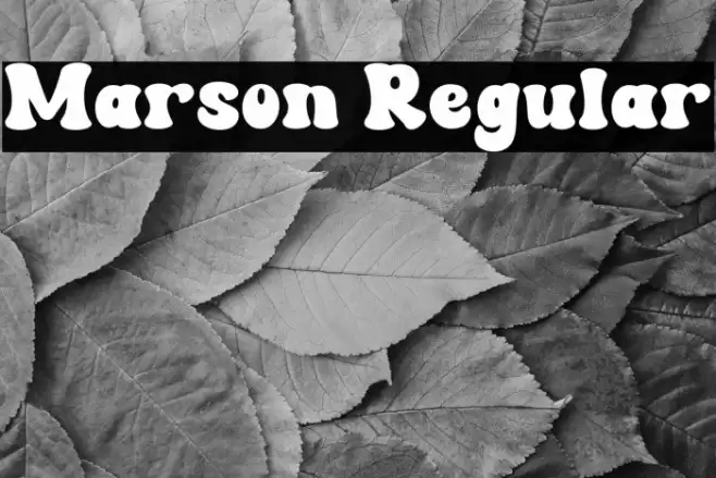 Marson Regular フォント examples
