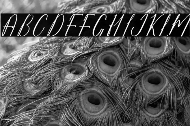 Marstezio DEMO VERSION 字体 examples