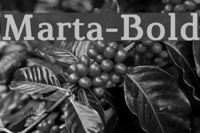 Marta-Bold Font examples