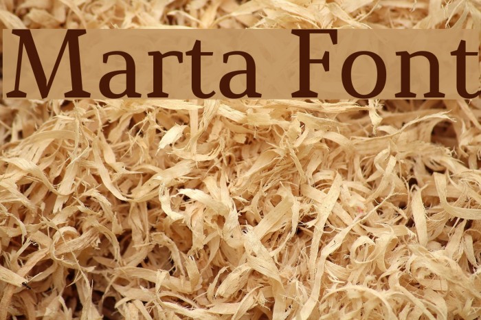 Marta Font examples