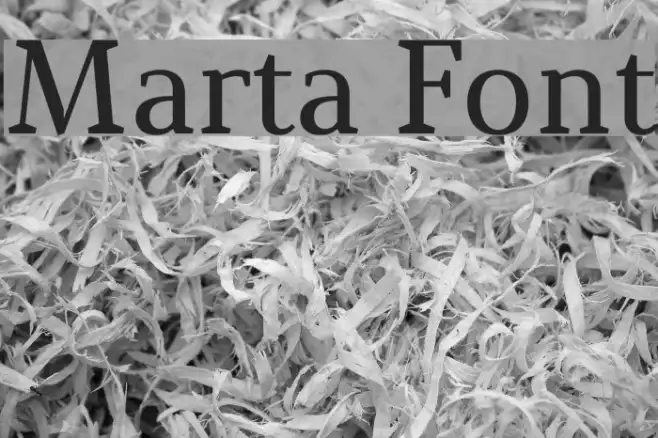Marta Example 2