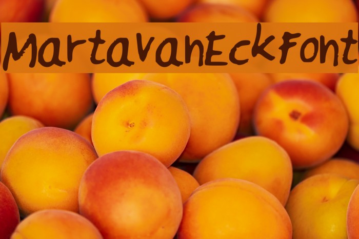 MartavanEck_Font Font examples