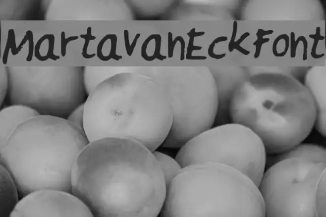 MartavanEck_Font Example 1
