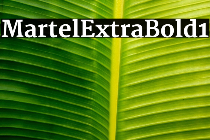 Martel ExtraBold1 Example 2