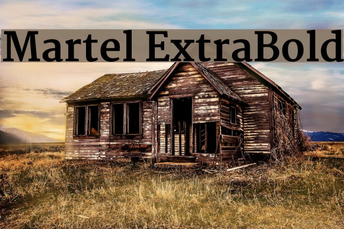 Martel ExtraBold Font examples